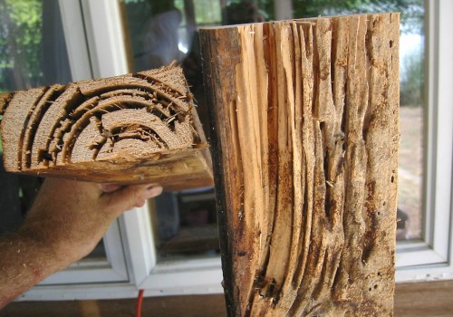 How to Replace Rotten Woodwork