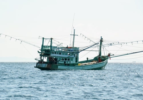 Everything You Need to Know About Fishing Boats